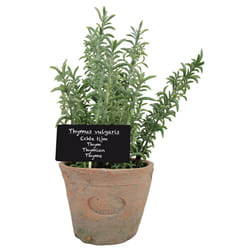 Esschert Design AH002 artificial plant