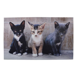 Esschert Design RB142 door mat