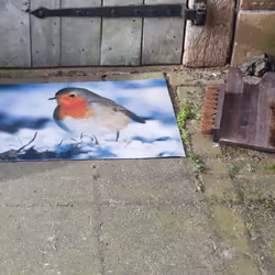 Esschert Design RB152 door mat
