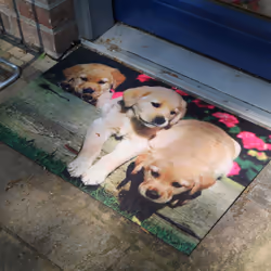 Esschert Design RB185 door mat
