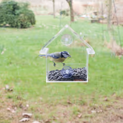 Esschert Design FB370 bird feeder Transparent Polymethyl methacrylate (PMMA), Polyvinyl chloride (PVC) Hanging