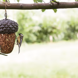 Esschert Design FB389 bird feeder Metallic Iron, Polyvinyl chloride (PVC) Hanging - Additional view 6