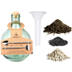 Esschert Design AGG62 reptile/amphibian terrarium