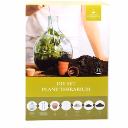 Esschert Design AGG62 reptile/amphibian terrarium
