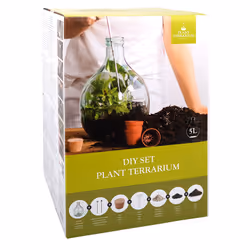 Esschert Design AGG62 reptile/amphibian terrarium