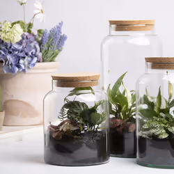 Esschert Design AGG68 vase Jar-shaped Glass Transparent