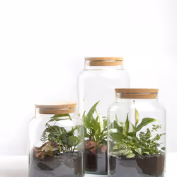 Esschert Design AGG68 vase Jar-shaped Glass Transparent