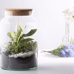 Esschert Design AGG69 vase Jar-shaped Glass Transparent - Additional view 2