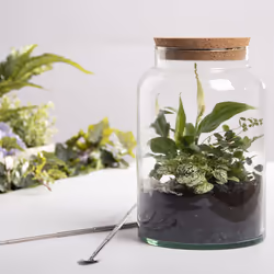 Esschert Design AGG69 vase Jar-shaped Glass Transparent - Additional view 3