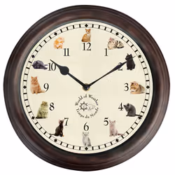 Esschert Design TF015, Wall, Round, Brown, Plastic, 300 mm, 46 mm