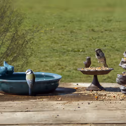 Esschert Design FB488 bird bath Blue