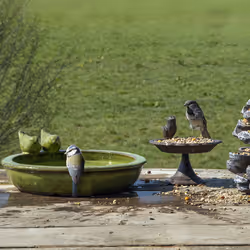 Esschert Design FB489 bird bath Green