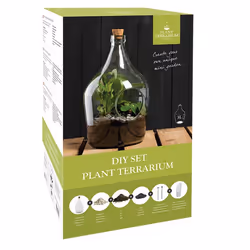 Esschert Design AGG92, Starter kit, Transparent, 2.45 kg, 1 pc(s), Box, 242 mm