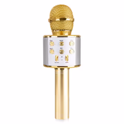 MAX Music KM01G Gold Karaoke microphone