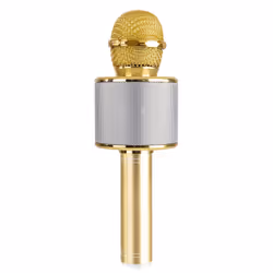 MAX Music KM01G Gold Karaoke microphone