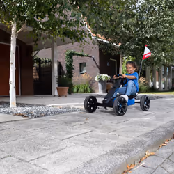 BERG 24.60.04.00 rocking/ride-on toy Ride-on go-kart