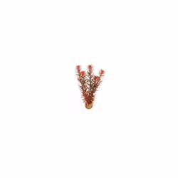 SuperFish Easy Plant Middle 20cm - 7 - 515245