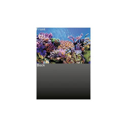SuperFish Deco Poster Aquarium Background - Design A - Reef/Grey, Size 1 - 60 x 30cm