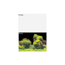 SuperFish Deco Poster Aquarium Background - Design E - White/Planted, Size 3 - 100 x 49cm