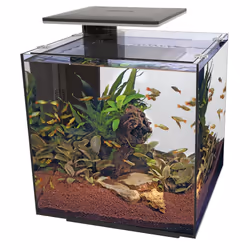 Superfish Qubiq Aquarium Nano Fish Tank Integrated Filter, Optional LED Light - Black