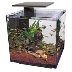 Superfish Qubiq Aquarium Nano Fish Tank Integrated Filter, Optional LED Light - Black