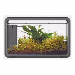 Superfish Home Aquarium with Filter Pump & LED Lighting Easy Setup Fish Tank - Black, Home 30