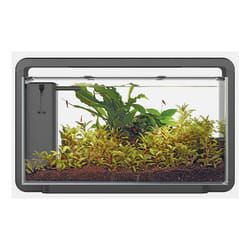 Superfish Home Aquarium with Filter Pump & LED Lighting Easy Setup Fish Tank - Black, Home 30