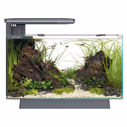Superfish Quadro 40 Aquarium Fish Tank LED Lighting & Filter, Optional Cabinet - Black, Multicolour
