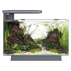 Superfish Quadro 40 Aquarium Fish Tank LED Lighting & Filter, Optional Cabinet - Black, Multicolour