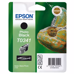 Epson Chameleon Singlepack Black T0341 Ultra Chrome - Additional view 2