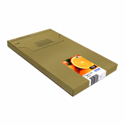 Epson Oranges Multipack 5-colours 33 Claria Premium Ink EasyMail Pack - Additional view 4