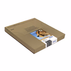 Epson Multipack 4-colours T071 EasyMail - Additional view 4