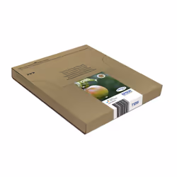Epson Apple Multipack 4-colours T129 EasyMail - Additional view 4