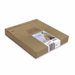 Epson Polar bear Multipack 4-colours 26 EasyMail - Additional view 4