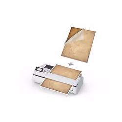 Epson C12C936101