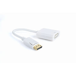 Gembird A-DPM-DVIF-002-W video cable adapter 0.1 m DisplayPort DVI White