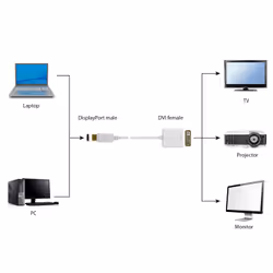 Gembird A-DPM-DVIF-002-W video cable adapter 0.1 m DisplayPort DVI White