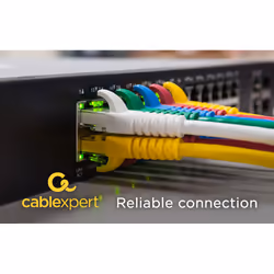 Gembird PP6A-LSZHCU-0.25M networking cable Grey Cat6a S/FTP (S-STP)