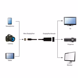 Gembird A-mDPM-DPF4K-01 0.15 m Mini DisplayPort DisplayPort Black