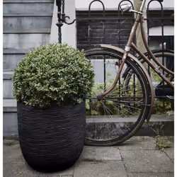Capi Egg Planter Nature Rib 43x41cm Black Flower Plant Basket Pot Raised Bed