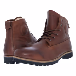Blackstone OM60 Male Adult Brown
