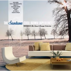 Heartselling The Sunset Lounge Orchestra - The Santana Cool Down Experience, Lounge, CD, The Sunset Lounge Orchestra, Physica ...