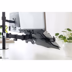 Neomounts NOTEBOOK-V200 Laptop holder 10-15" - VESA - universal - Additional view 6