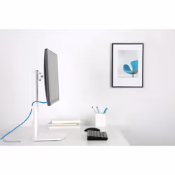 Neomounts FPMA-D890WHITE Monitor stand 10-30" - Additional view 7