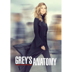 Disney Grey's Anatomy Season 1 DVD English