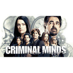 Disney Criminal Minds Season 4 DVD English