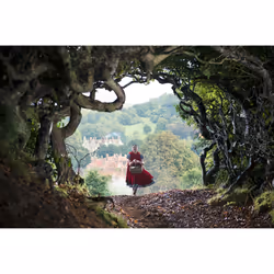 Disney Into the Woods DVD German