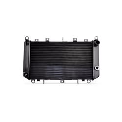 Engine radiator; DENSO; 695 510 69; for TOYOTA; 1640017380, 1640066110, 1640066111, 1640066112, 1640066120