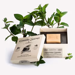 Gamila Secret Spearmint Sparkle Soap 115g, Skin, Bar soap, Anti-acne, Purifying, Refreshing, Soothing, Square, Mint, Sodium O ...