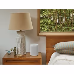Sonos ONE SL Mono portable speaker White